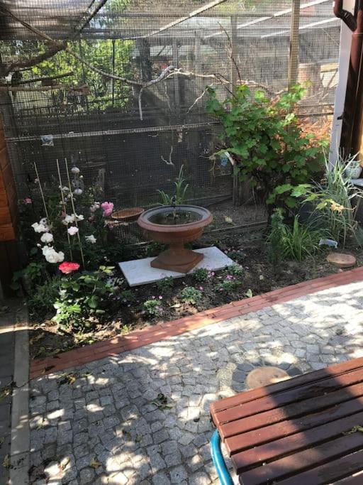 Unser Studio-Apartment "Wohlfuehloase" オラニエンブルク エクステリア 写真